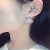 Vintage Hexagram Swarovski Crystal Beaded Earrings